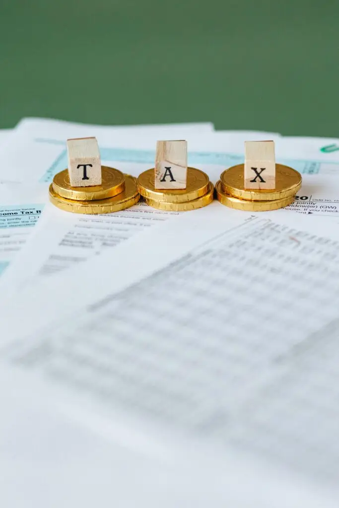 pexels-photo-6863176-6863176-683x1024 Unlocking Pakistan’s Revenue Potential